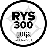 RYS 300/500